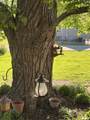 583 Fort Street - Photo 19