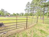377 Lusk Road - Photo 31