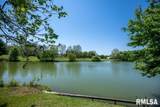 113 Lakepoint Drive - Photo 7