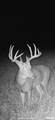 21087 25 E Road - Photo 51