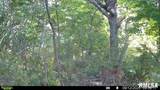 1401 Hickory Grove Road - Photo 8