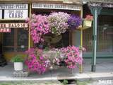 5 Main Street - Photo 4