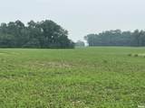 14953 Grain Bin Road - Photo 2