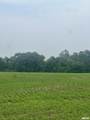 14953 Grain Bin Road - Photo 4