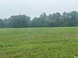 14953 Grain Bin Road - Photo 5