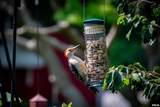 14105 River Beach Drive - Photo 37