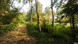 15250 Ray Road - Photo 22