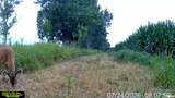 15250 Ray Road - Photo 32