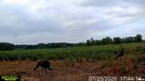 15250 Ray Road - Photo 34