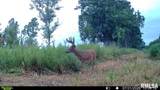 15250 Ray Road - Photo 38