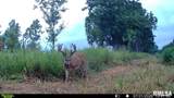 15250 Ray Road - Photo 39