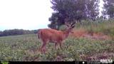 15250 Ray Road - Photo 40