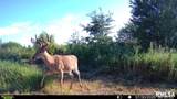 15250 Ray Road - Photo 41