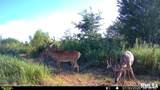 15250 Ray Road - Photo 42