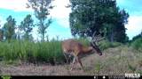 15250 Ray Road - Photo 43