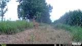15250 Ray Road - Photo 46