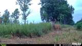15250 Ray Road - Photo 48