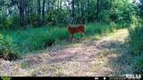 15250 Ray Road - Photo 49