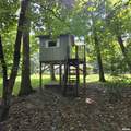 309 Eagle Nest Road - Photo 56