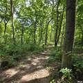 309 Eagle Nest Road - Photo 60