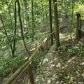 309 Eagle Nest Road - Photo 61