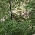 309 Eagle Nest Road - Photo 62