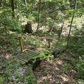 309 Eagle Nest Road - Photo 64