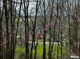 LOT 201 James Street - Photo 4