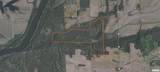 13934 Century Oaks Drive - Photo 2