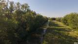 13934 Century Oaks Drive - Photo 18