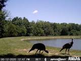16602 Steel Lane - Photo 65