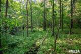 16602 Steel Lane - Photo 86