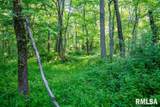 16602 Steel Lane - Photo 89