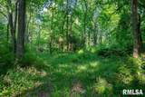 16602 Steel Lane - Photo 95