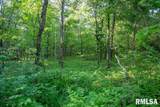 16602 Steel Lane - Photo 96