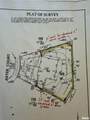 304 Aster Drive - Photo 87