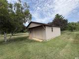 1406 Diamond Street - Photo 6