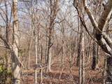 4865 State Route 147 Highway - Photo 43