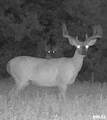 21087 25 E Road - Photo 9