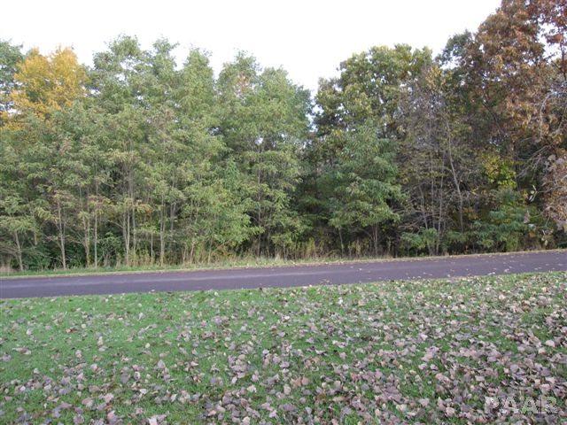 Lot 23 Grace - Photo 1