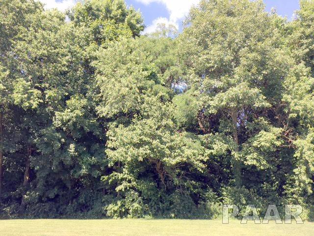 Lot 24 Rosewood Drive - Photo 1