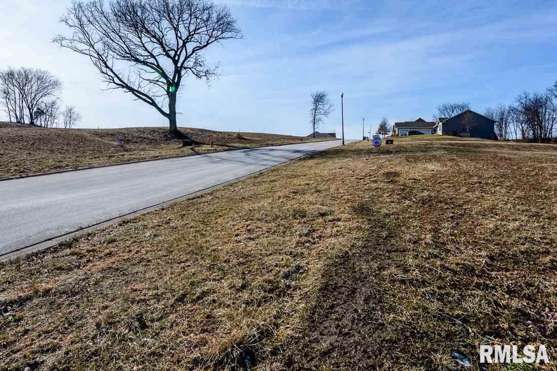 Lot 16 Hidden Meadows Drive - Photo 1