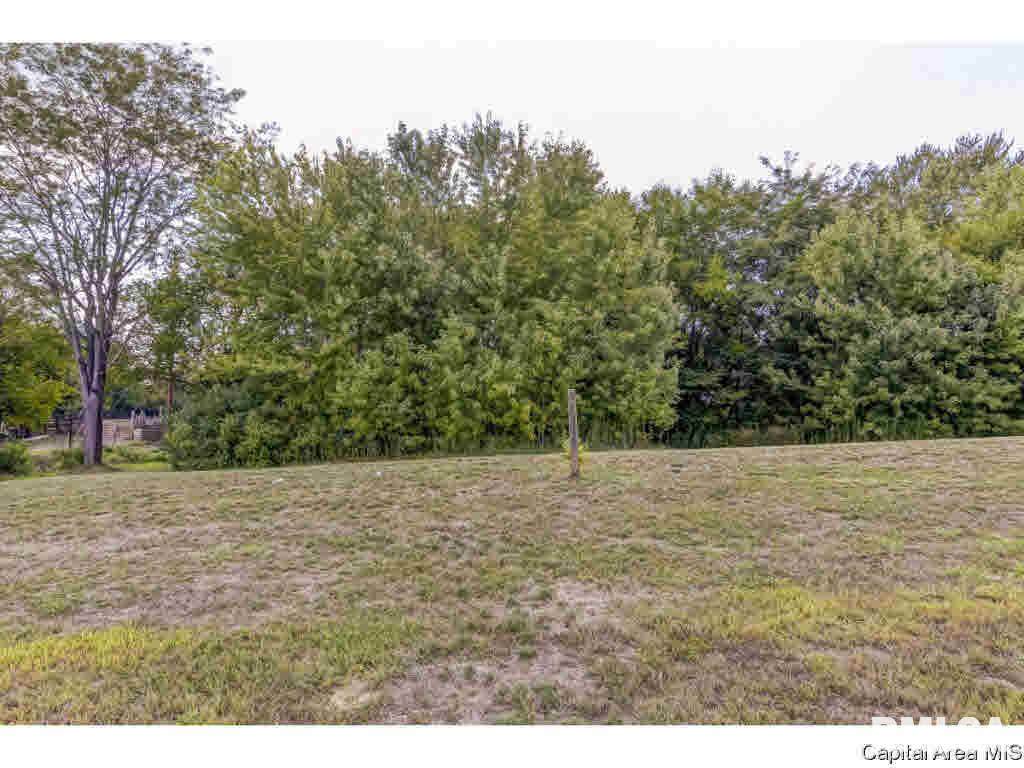 405 Ramblewood - Photo 1