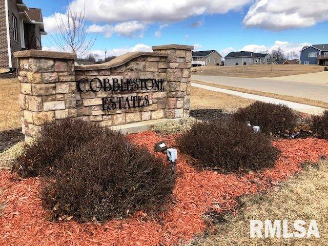 1729 Wishing Well Lane - Photo 1