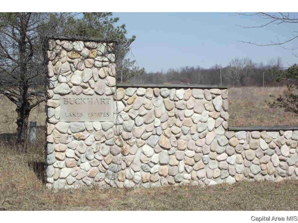 Lot 1 Buckhart Lake Estates - Photo 1