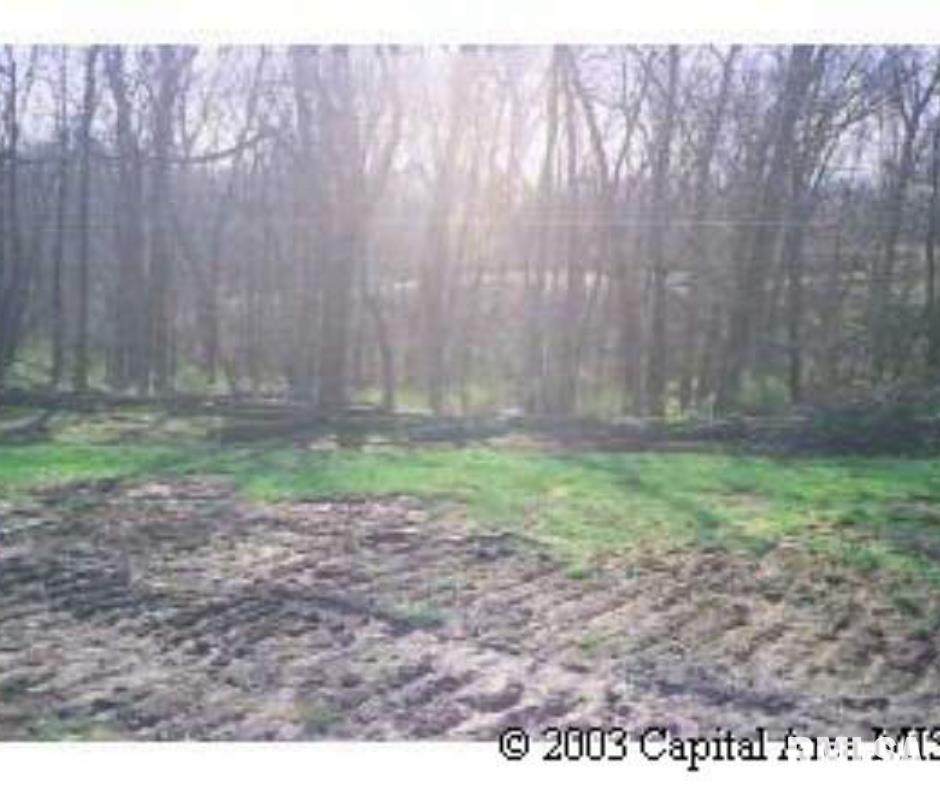 13 Deer Meadow Lane - Photo 1