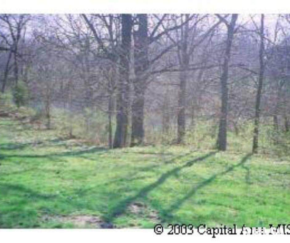 27 Bluff Circle - Photo 1