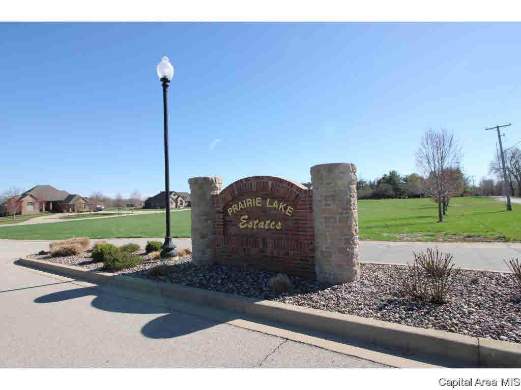 804 Prairie Lake Drive - Photo 1