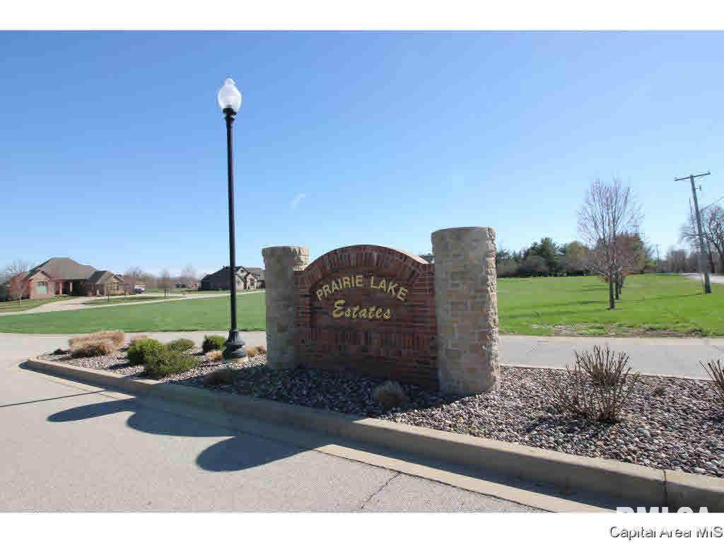 720 Prairie Lake Drive - Photo 1