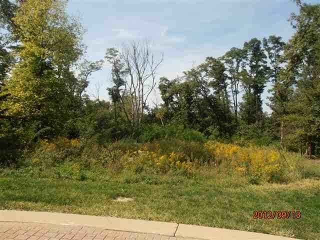 3614 Avian Court - Photo 1